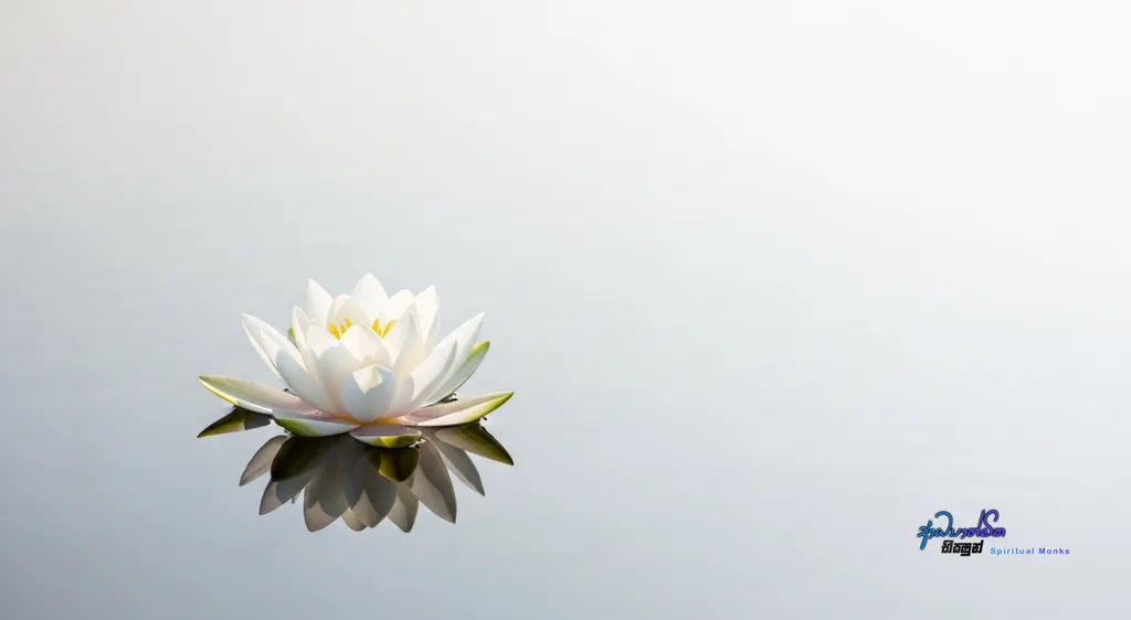 Finding Joy in Your Spiritual Progress – How True Joy Leads to Balance and Simplicity