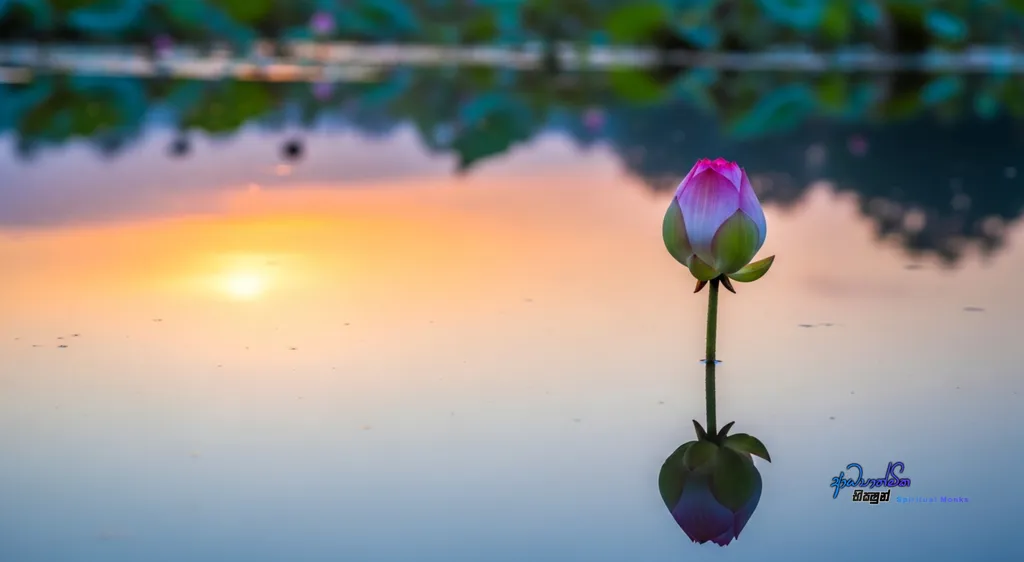 How to Develop Wisdom A Buddhist Guide to True Understanding – From a Scattered Mind to a Centered Heart_79092.webp