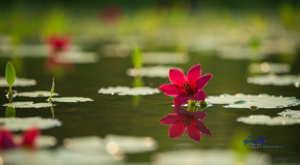 How to Start Living in the Present Moment A Buddhist Guide – Temporary Escapes vs Lasting Peace_00289.webp