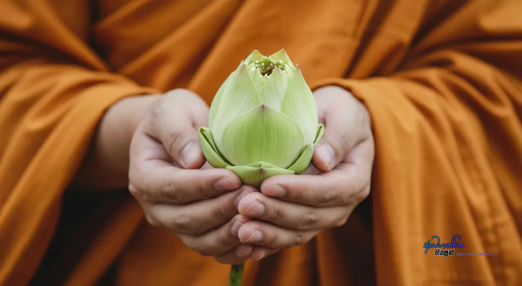 The Hidden Gift of the Meditation Plateau – Learning the Nature of Your Mind with Compassion_32682.webp