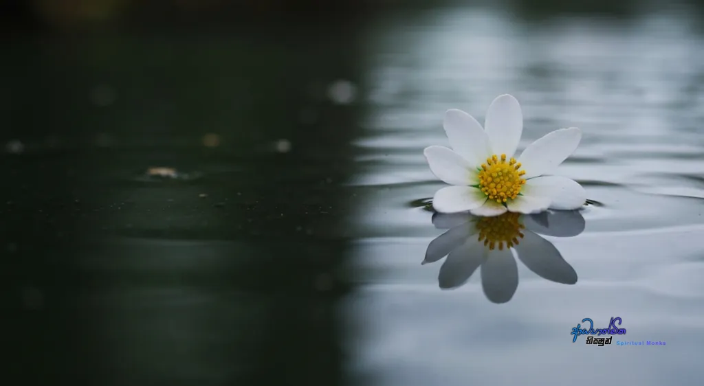 Where is True Spiritual Development A Monks Guide to the Inner Path – The Inner Sanctuary vs The Outer World_08190.webp
